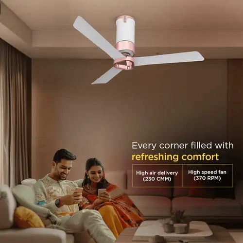 Decorative Fan 1