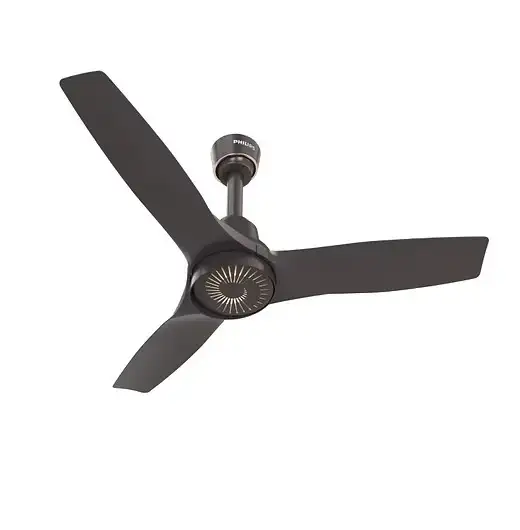 Decorative Fan 3