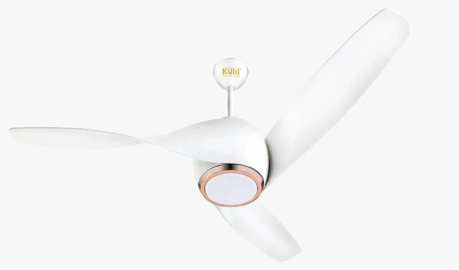 Decorative Fan 4