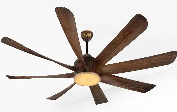 Decorative Fan 4